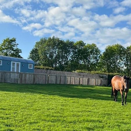 Wee Shepherds Hut Maybole ภายนอก รูปภาพ