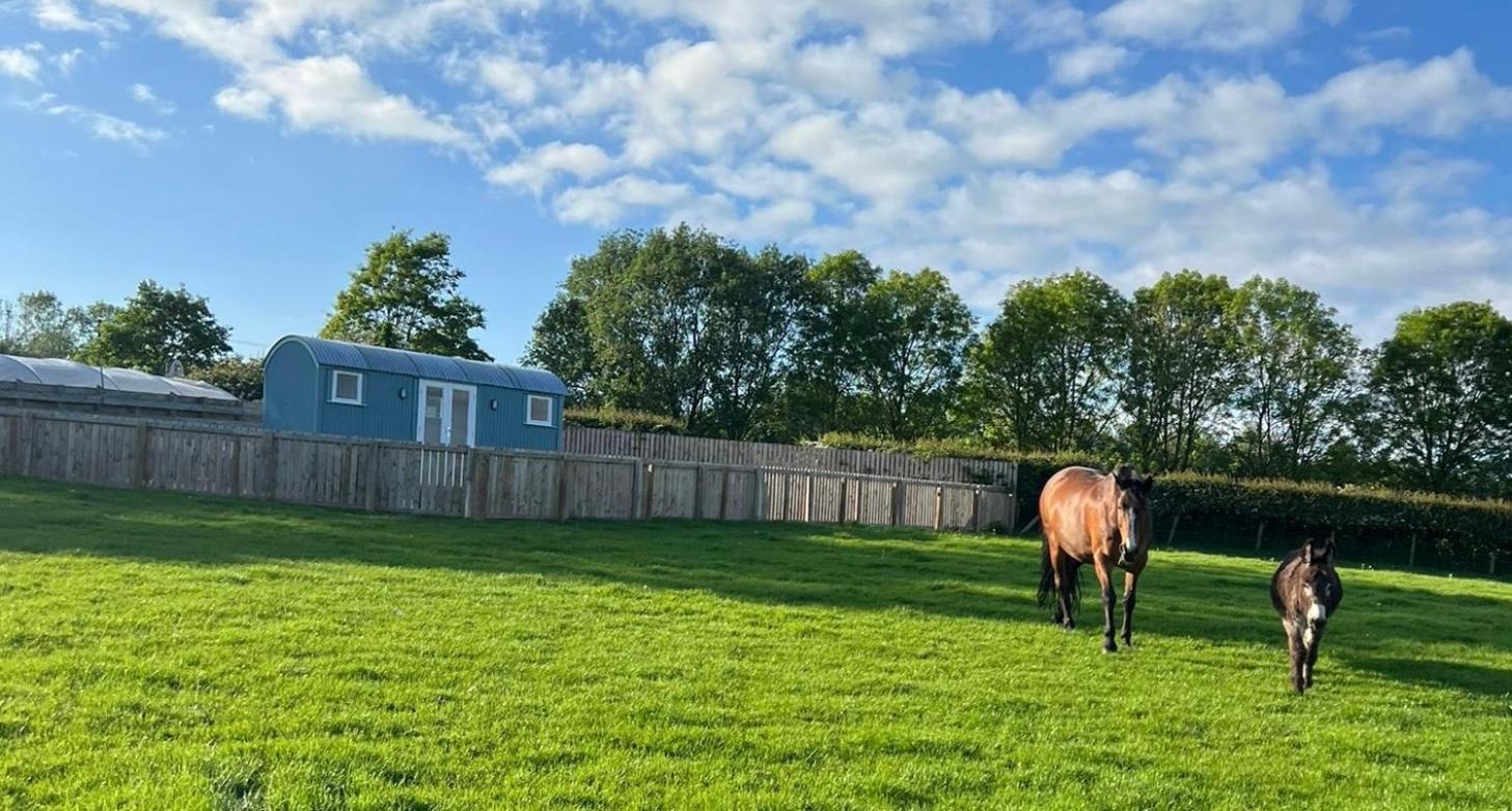 Wee Shepherds Hut Maybole ภายนอก รูปภาพ