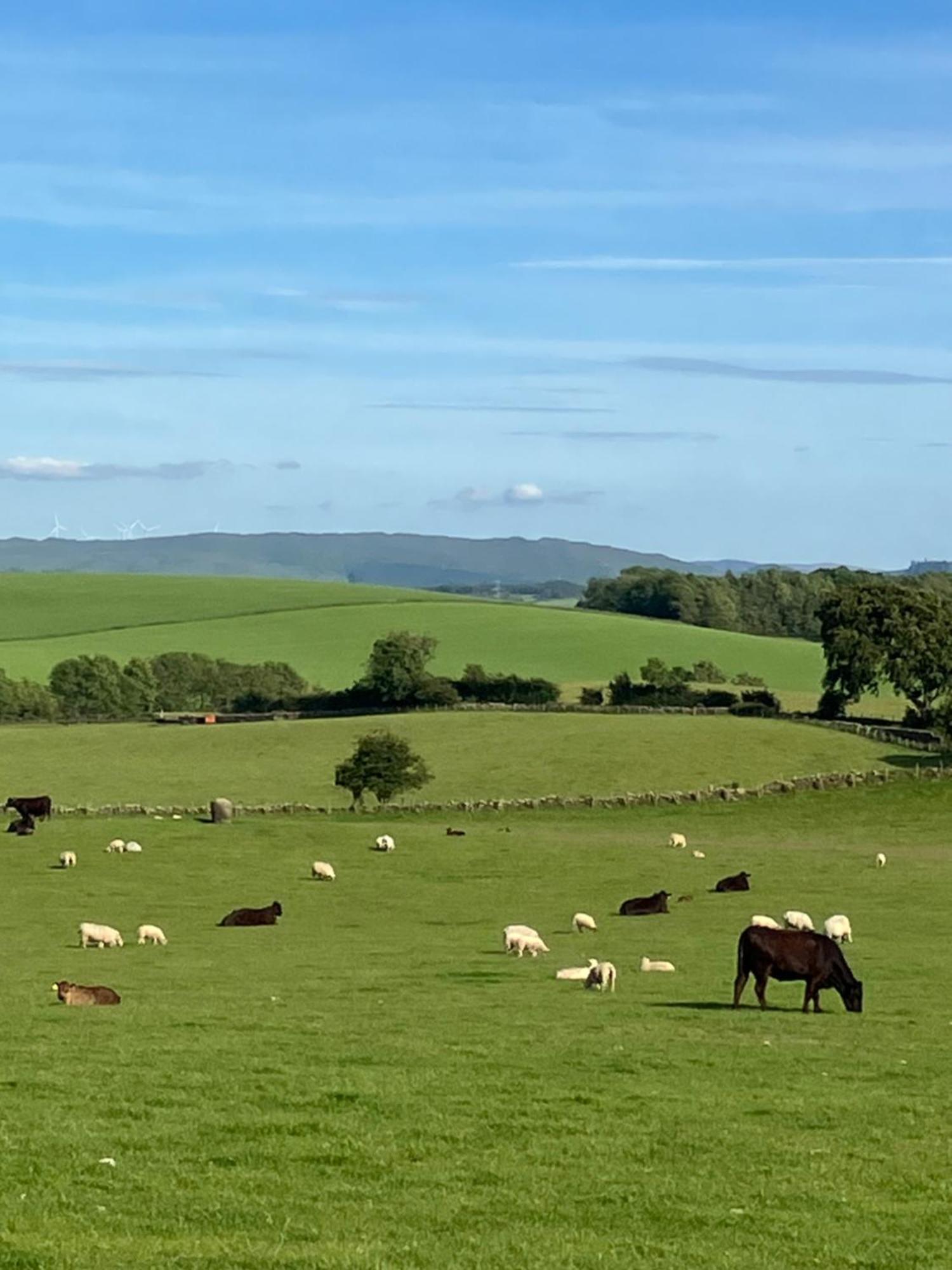 Wee Shepherds Hut Maybole ภายนอก รูปภาพ